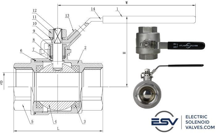 Detailed technical drawing and real-life image of a 2 piece stainless steel manual ball valve from ElectricSolenoidValves.com, illustrating components such as internal ball, hand lever, and stem, for industrial fluid process applications