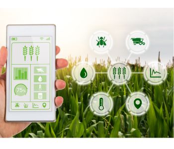 Smart sensors technology